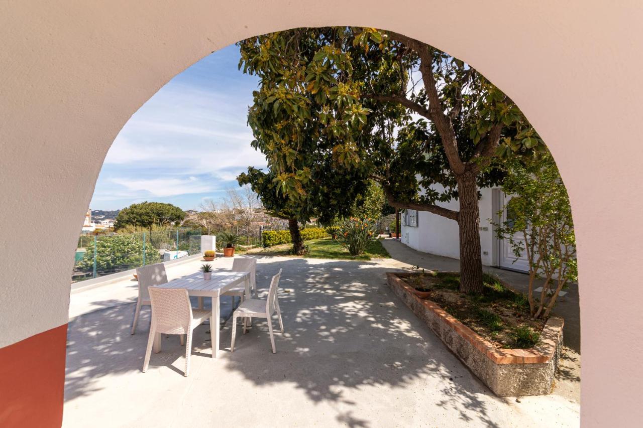 Casa Degli Aranci Villa Forio di Ischia Eksteriør billede