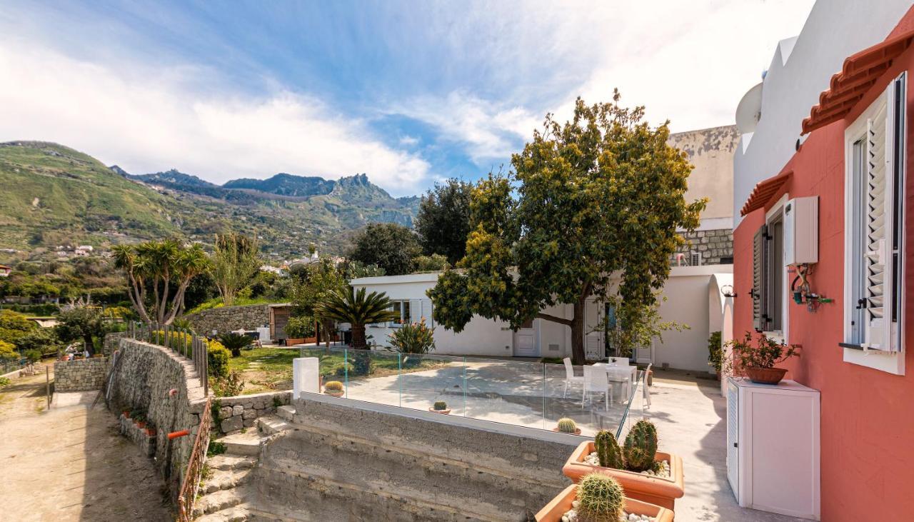 Casa Degli Aranci Villa Forio di Ischia Eksteriør billede