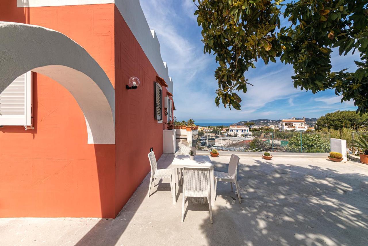 Casa Degli Aranci Villa Forio di Ischia Eksteriør billede