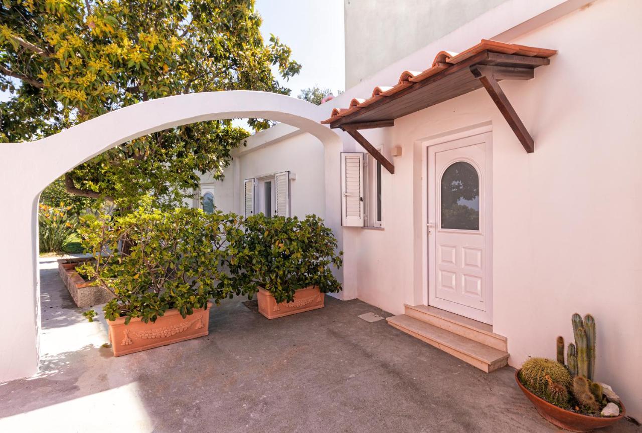 Casa Degli Aranci Villa Forio di Ischia Eksteriør billede